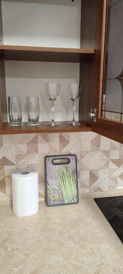 Sweethomeapartment Kamyanets-Podilski Dış mekan fotoğraf